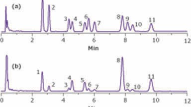 Analysis of Active Cannabis Compounds in Edible Food Products: Gummy Bears and Brownies